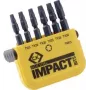 C.K. Bitsu komplekts 6 gab. TORX Torsion Control Technologie (T4513)
