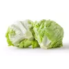 Dārza salātu 'Crisp Ice Lettuce Summer Toraf' sēklas, 1 g iepakojumā