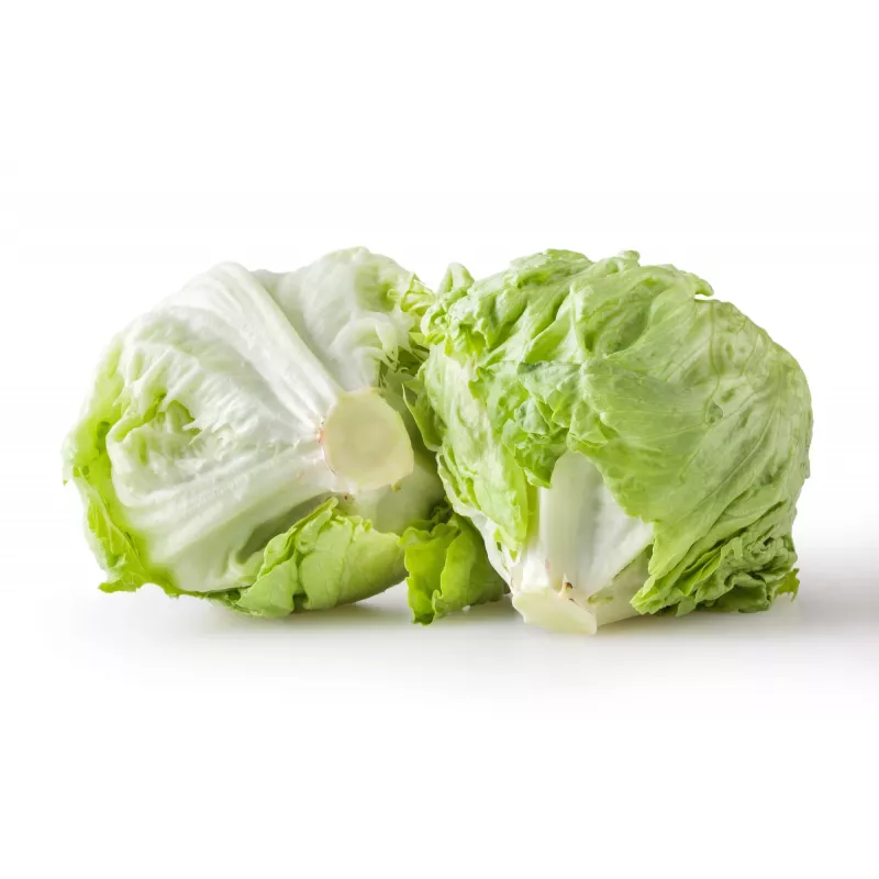 Dārza salātu 'Crisp Ice Lettuce Summer Toraf' sēklas, 1 g iepakojumā