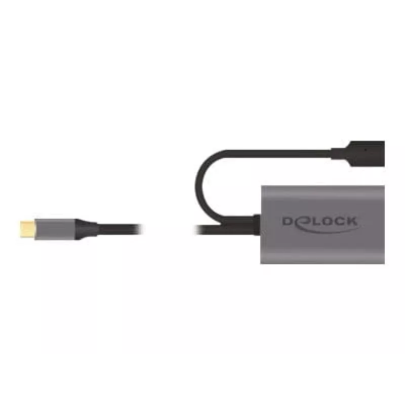 Delock USB-20225 barošanas adapteris pelēks