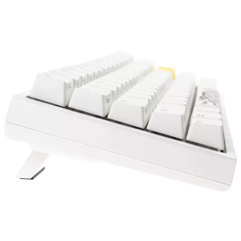Mehāniskā spēļu tastatūra Ducky One 2 Pro Mini RGB LED ar Cherry MX Blue slēdžiem, 60% izkārtojums