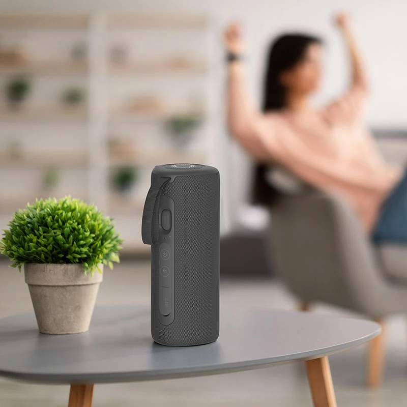 Portable Speaker Kodak PWS-2246, Melns
