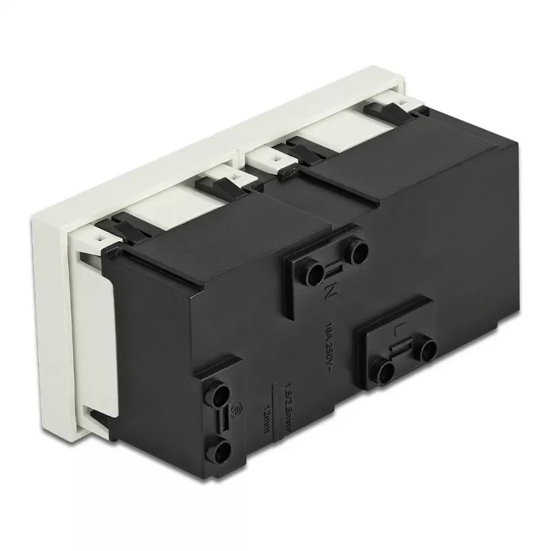 Sienas kontaktligzda DELOCK 81423 — CEE 7/3, 16 A, 250 V, balta, ABS/PC, 45×90 mm