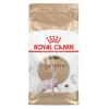 Sausā kaķu barība Royal Canin Sphynx Adult 2 kg — cūkgaļas garša, 33% olbaltumvielu, 23% tauku