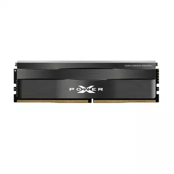 Silicon Power SP008GXLZU320BSC atmiņas modulis