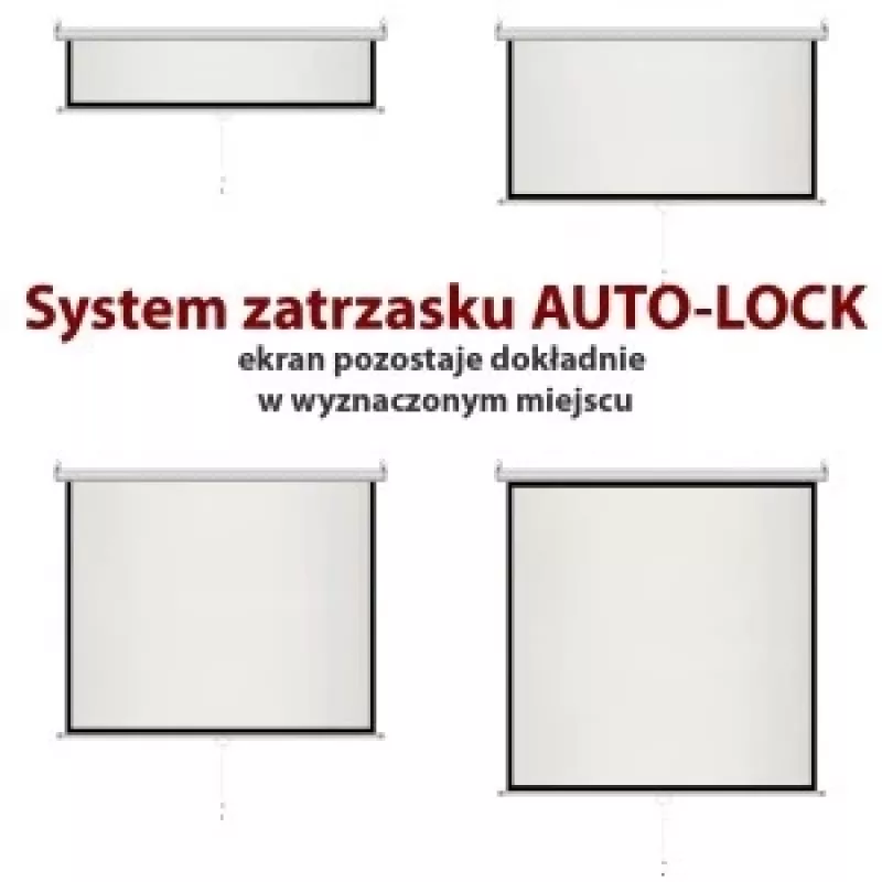 Manuāls ekrāns 4:3 daļēji automātisks 120 244x183cm MS-120 4:3