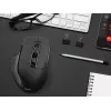pele Tracer Cozy Right-hand RF Wireless Optical 1600 DPI