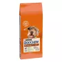 Sausā suņu barība Purina Nestlé Dog Chow Mature Senior ar jēru 14 kg, 24% olbaltumvielu, 10% tauku