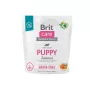 Sausā suņu barība Brit Puppy Salmon 1 kg — bez graudiem kucēnu formula, 30% olbaltumvielu, 18% tauku