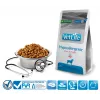 FARMINA Vet Life Hypoallergenic Pork & Potato - sausā suņu barība - 2 kg