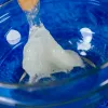 Zinātnes komplekts Liscianigiochi Crazy Science Slime in the dark 304-PL89239 — tumsā spīdošo gļotu eksperimentu komplekts