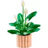 LEGO BOTANICALS 11504 Miera Lilija