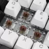 SKILLER SGK50 S3, Gaming tastatūra balta, DE izkārtojums, Gateron Brown