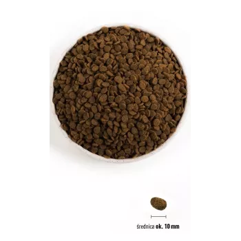 ORIJEN Guardian 8 - sausā kaķu barība - 1,8 kg