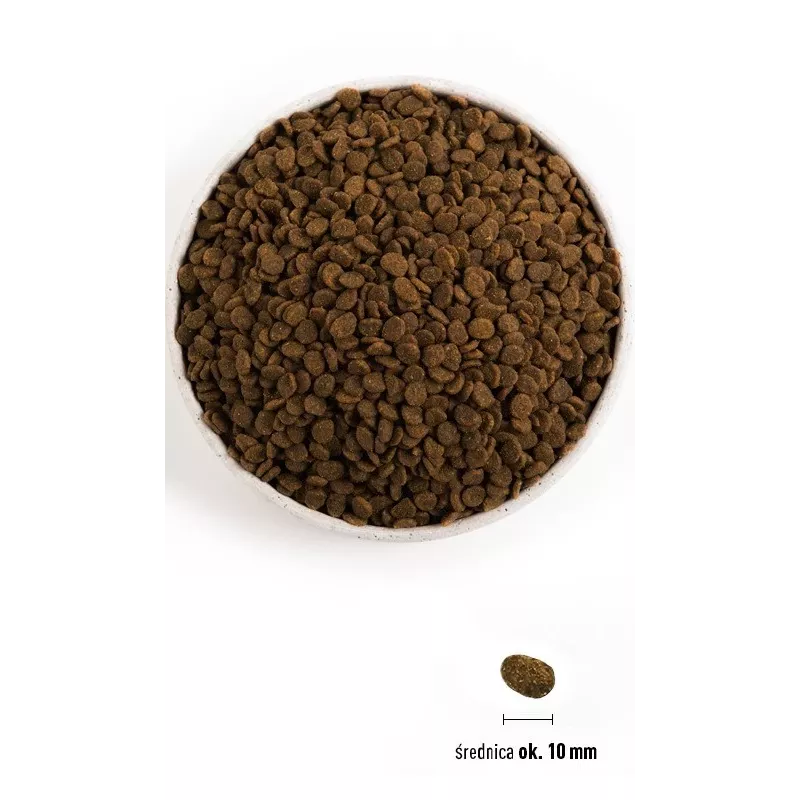 ORIJEN Guardian 8 - sausā kaķu barība - 1,8 kg