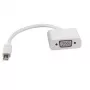Mini DisplayPort–VGA adapteris ROLINE 12.03.3140