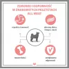 PUPIL Premium All Meat Gold jēra segliņš - mitrā suņu barība - 800g