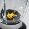 Caso | Blenderis | MX 1000 | Galda | 1300 W | Trauka materiāls Stikls | Trauka tilpums 1,5 L | Ledus drupināšana | Nerūsējošais tērauds