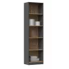 Topeshop R50 ANT/ART biroja grāmatu skapis