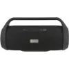 Portable Speaker Tellur Obia 50W Melns
