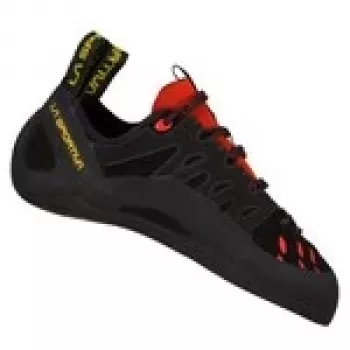 Tarantulace-Melns poppy-39,5