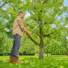 Gardena zaru griezēji EasyCut L Pelēks/tirkīzzils 50 cm (12031-88)