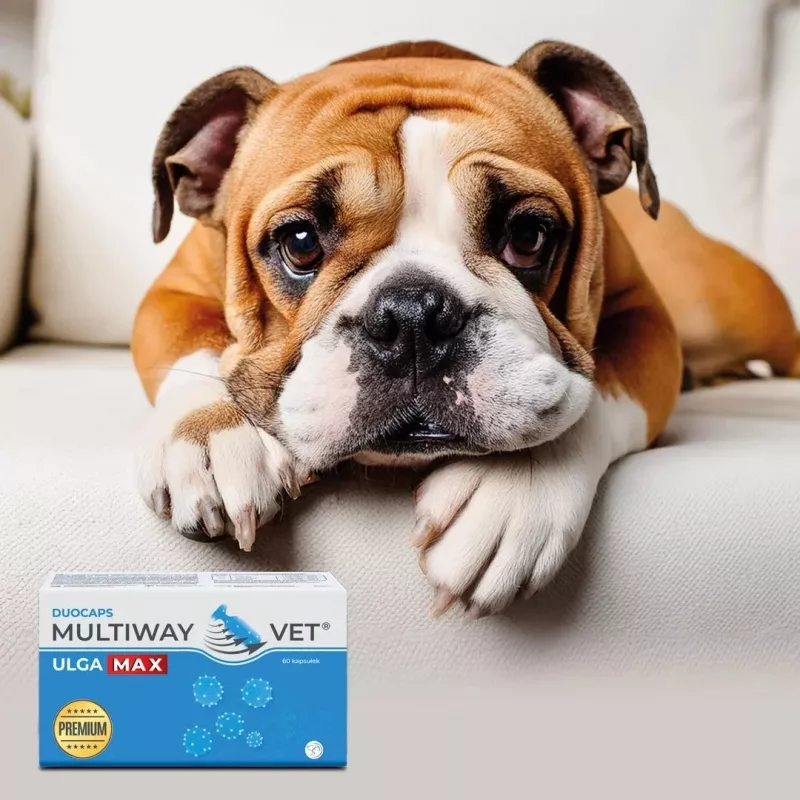 Vērpjamās kapsulas JM Sante Multiway Vet Duocaps Ulga Max – 60 gab., stresa un diskomforta mazināšanai pieaugušiem suņiem un kaķiem, 150 g