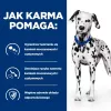 HILL'S PRESCRIPTION DIET Urinary Care Canine u/d sausā suņu barība 10 kg