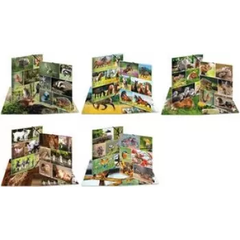 HERMA Sammelmappe A3 Waldtiere gredzenu vāciņš Daudzkrāsains