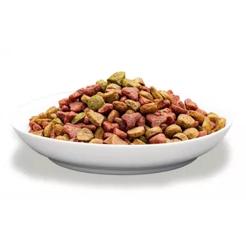 Sausā kaķu barība PREVITAL Adult ar liellopu gaļu 1,4 kg — 30% olbaltumvielu, 12% tauku, 3% šķiedrvielu