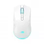 Baracuda BGM-122 Turtle balta TURTLE-W pele