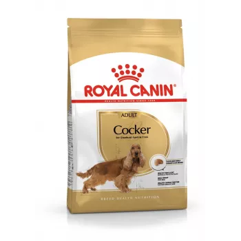 Sausā suņu barība Royal Canin Cocker Adult 12 kg — mājputni, 25% olbaltumvielas, 14% tauki
