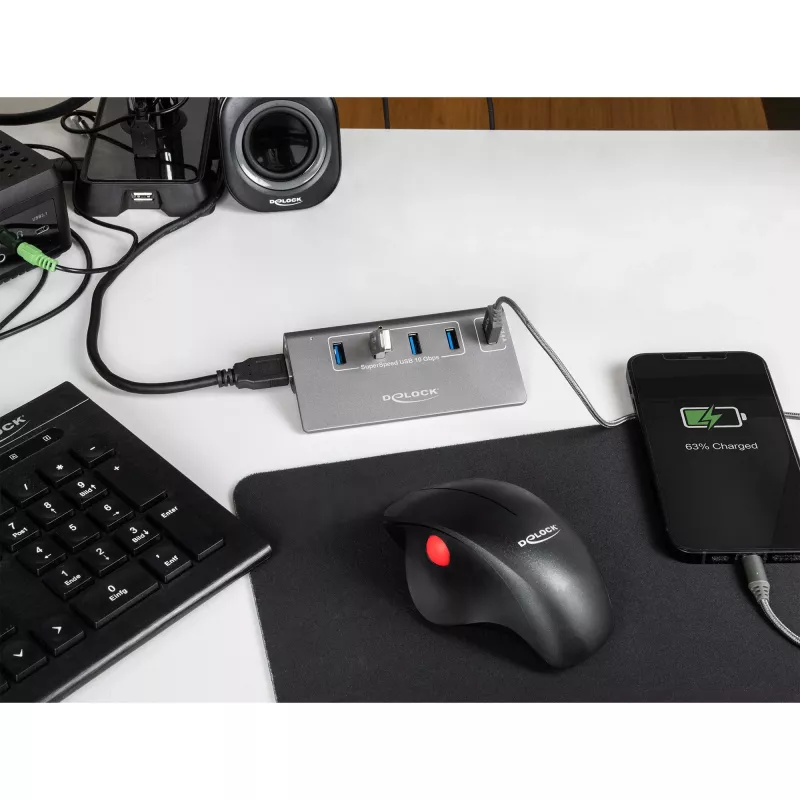 DeLOCK USB centrmezgls 10 Gbps 4 Type-A pieslēgvietas 1 ātrās uzlādes pieslēgvieta
