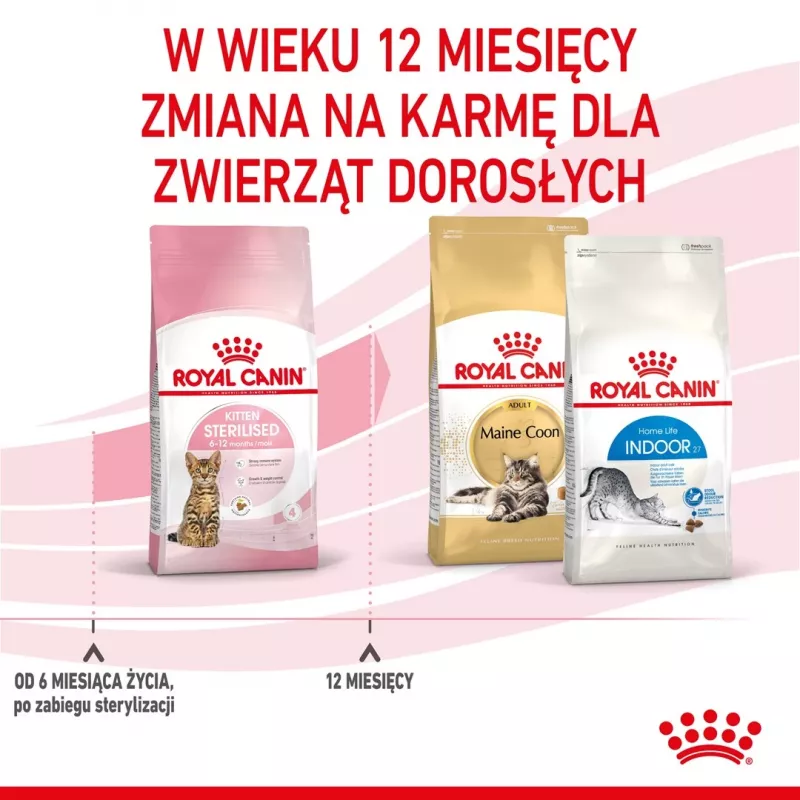 Sausā kaķu barība Royal Canin Kitten Sterilised 3,5 kg — mājputnu gaļa, 34% proteīnu, 12% tauku