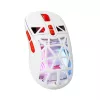 Pele Baracuda BGM-092 Seal balta SEAL-W
