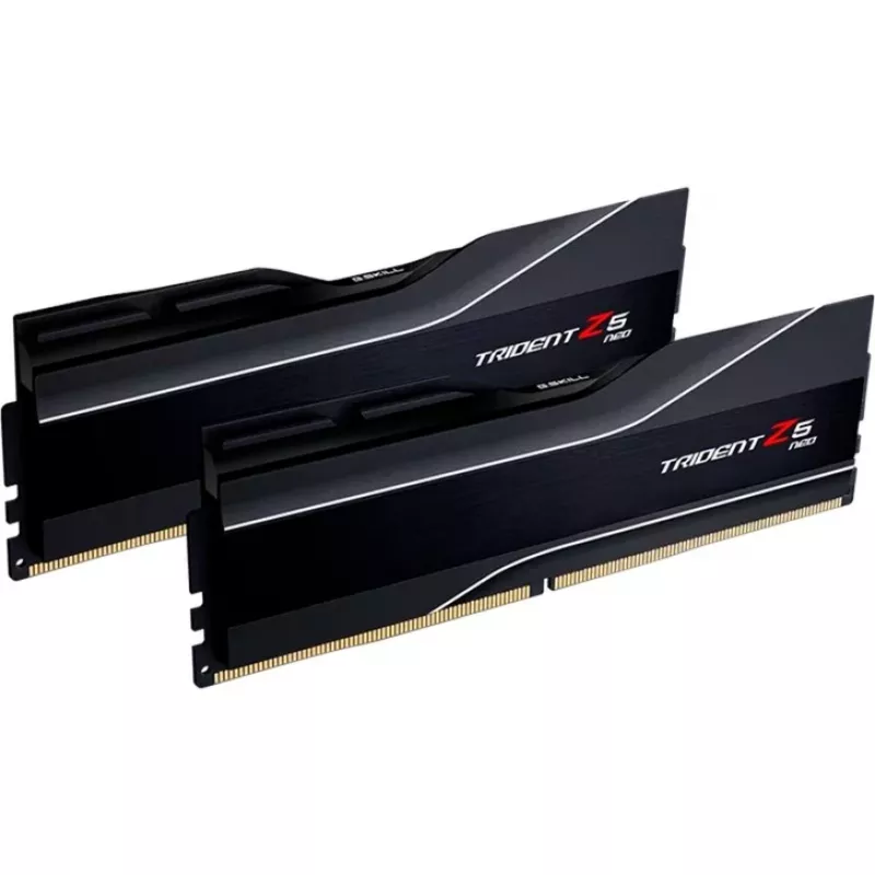 RAM modulis G.SKILL DDR5 64GB (2x32GB) 6000MHz CL30 288-pin DIMM 1.4V EXPO/XMP 3.0 ar heatsink