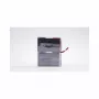 Eaton EB010SP UPS akumulators Sealed Lead Acid 6 V 9 Ah 2 gab.