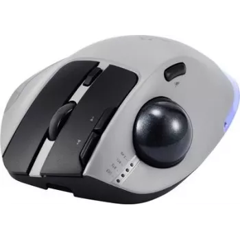 Renkforce RF-6697034 pelēka