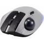 Renkforce RF-6697034 pelēka