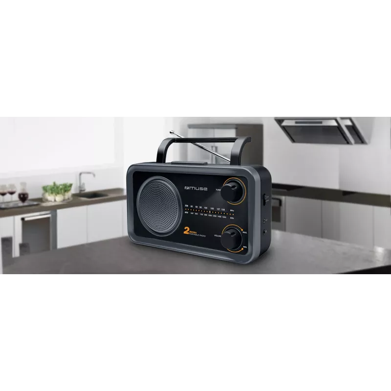 Muse | 2 joslu pārnēsājams radio | M-06DS | AUX ieeja | Pelēks