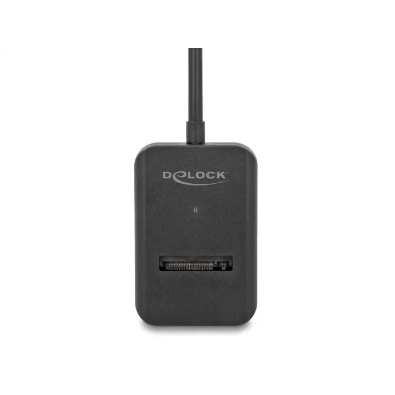 DeLOCK kombinētais adapteris M.2 NVMe PCIe SATA SSD USB Type-C ar 10 Gbps