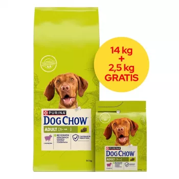PURINA Dog Chow Adult Lamb - sausā suņu barība - 14 + 2,5 kg