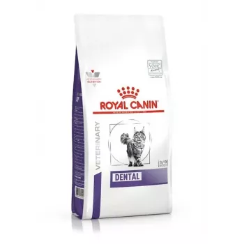 Sausā kaķu barība Royal Canin Dental 1,5 kg — pieaugušiem kaķiem putnu gaļas garša, 29% olbaltumvielu, zobu kopšana