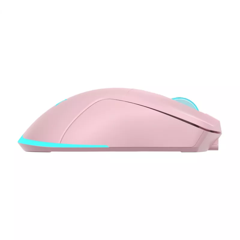 Pele Baracuda BGM-124 Turtle Pink TURTLE-P