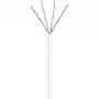 Wentronic CAT 6 U/UTP 100m - Cat6 - U/UTP (UTP) - Balta - Polivinilhlorīds (PVC) - 24/7 (94964)