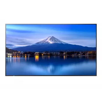 Lielformāta displejs SHARP NEC P506 50 collu P-Series UHD