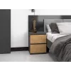 Topeshop W2 ANTRACYT/ARTISAN nightstand/Naktsskapītis 2 atvilktne(s) antracīts, ozols