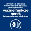 HILL'S PD K/D Kidney + Mobility Chicken - sausā kaķu barība - 3kg