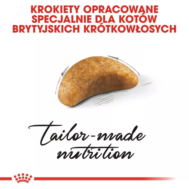 Sausā kaķu barība Royal Canin British Shorthair Kitten 2 kg – vista, 38% olbaltumvielu, 20% tauku, augšanas formula