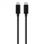 USB C uz USB C kabelis Belkin F2CD084bt0.8MBK 0,8 m 40 Gbit/s Melns